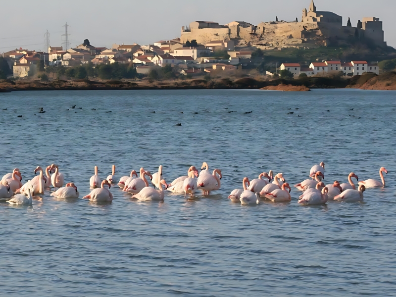 taxi ville fos sur mer Accueil